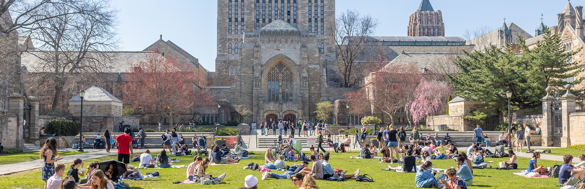Students studying on campus green